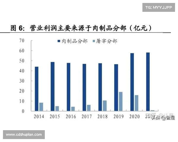 规模化屠宰与现代化肉类生产的转型与挑战分析 规模化屠宰与现代化肉类生产的转型与挑战分析